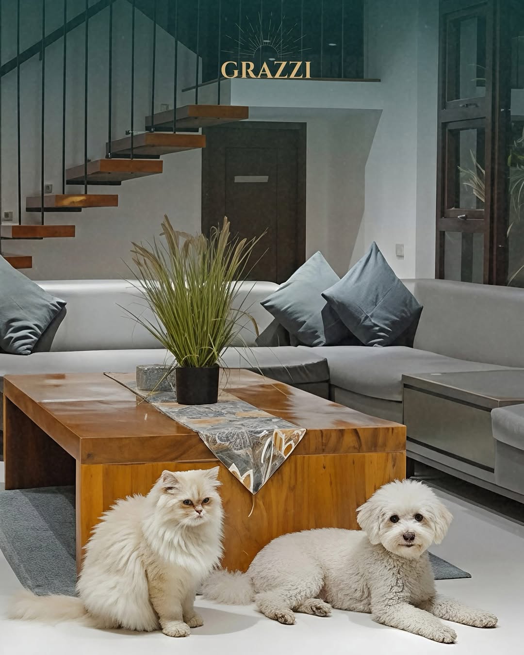 Pets relaxing in Villa Grazzi living room